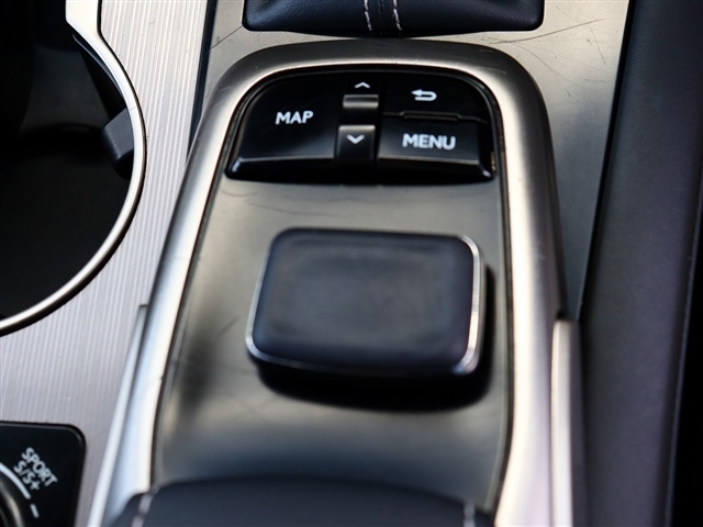 レクサス ＲＸ３００ Ｆスポーツ H30年 (関東) 99