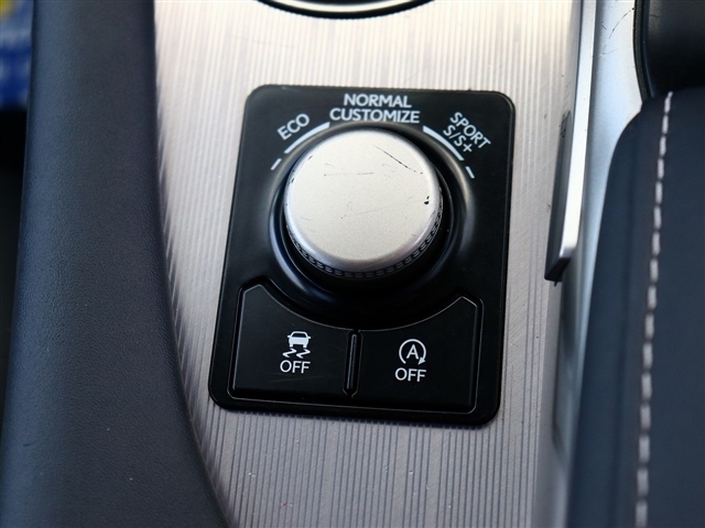 レクサス ＲＸ３００ Ｆスポーツ H30年 (関東) 99