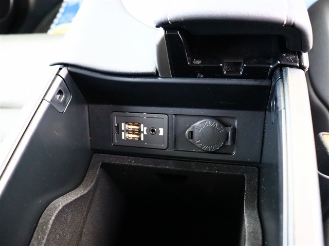 レクサス ＲＸ３００ Ｆスポーツ H30年 (関東) 99