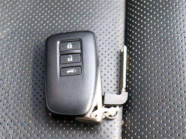 レクサス ＲＸ３００ Ｆスポーツ H30年 (関東) 99