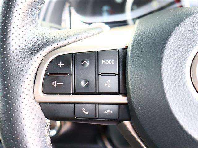 レクサス ＲＸ３００ Ｆスポーツ H30年 (関東) 99