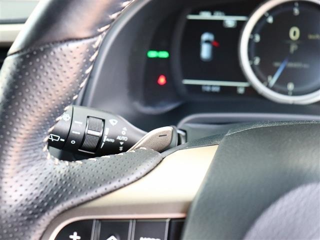 レクサス ＲＸ３００ Ｆスポーツ H30年 (関東) 99