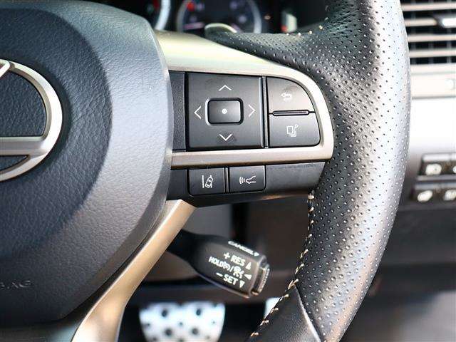 レクサス ＲＸ３００ Ｆスポーツ H30年 (関東) 99