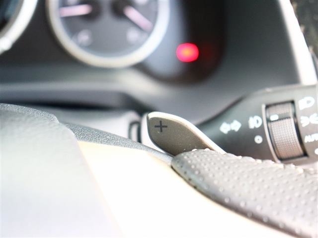 レクサス ＲＸ３００ Ｆスポーツ H30年 (関東) 99