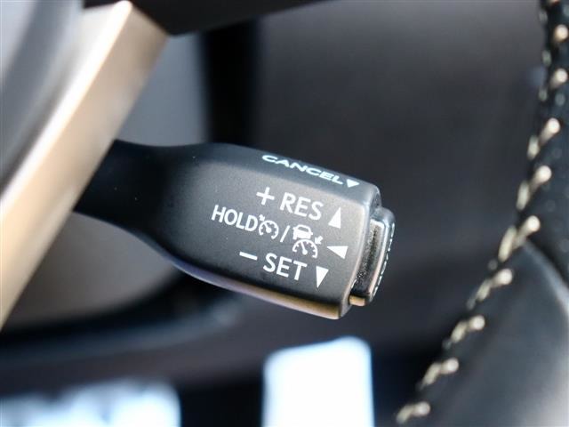 レクサス ＲＸ３００ Ｆスポーツ H30年 (関東) 99