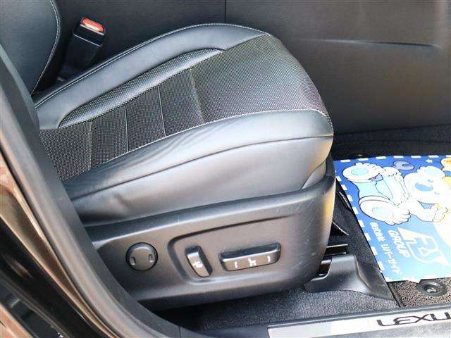 レクサス ＲＸ３００ Ｆスポーツ H30年 (関東) 99