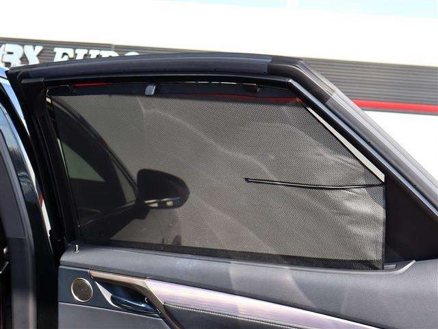 レクサス ＲＸ３００ Ｆスポーツ H30年 (関東) 99