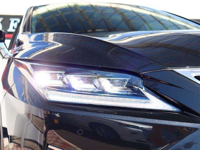 レクサス ＲＸ３００ Ｆスポーツ H30年 (関東) 99