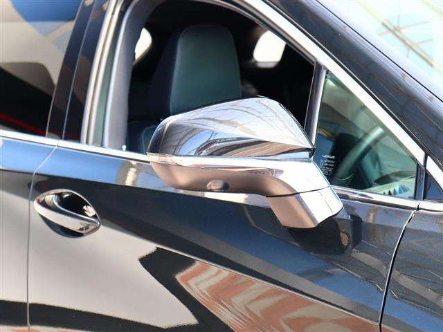 レクサス ＲＸ３００ Ｆスポーツ H30年 (関東) 99