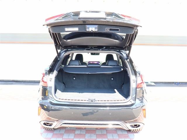 レクサス ＲＸ３００ Ｆスポーツ H30年 (関東) 99