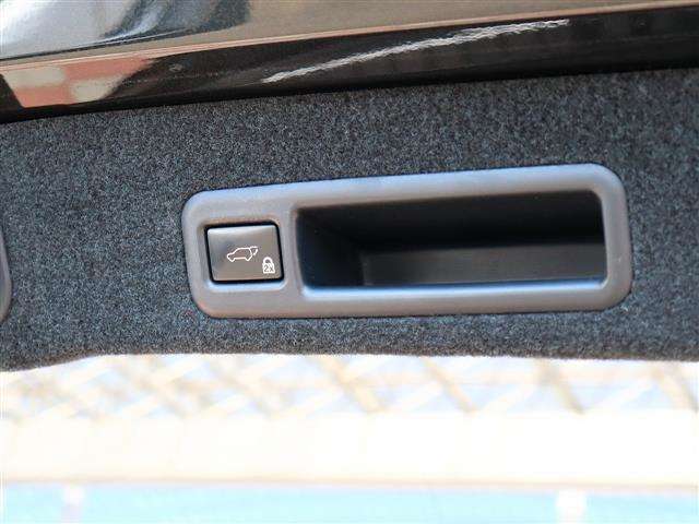 レクサス ＲＸ３００ Ｆスポーツ H30年 (関東) 99