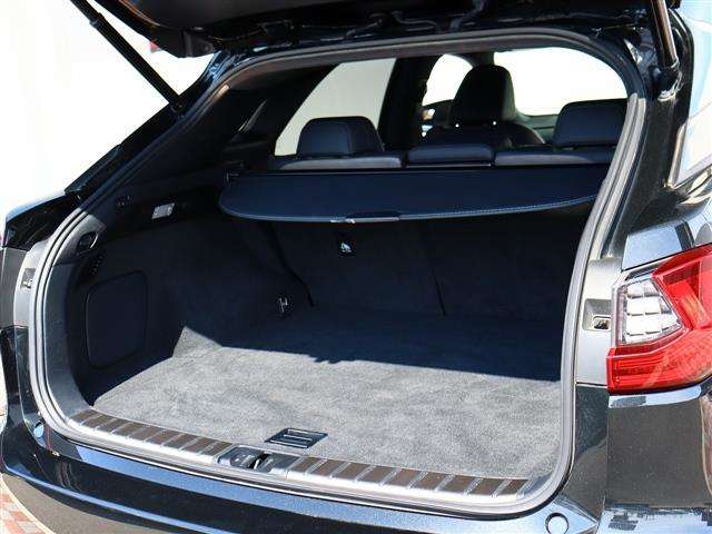 レクサス ＲＸ３００ Ｆスポーツ H30年 (関東) 99