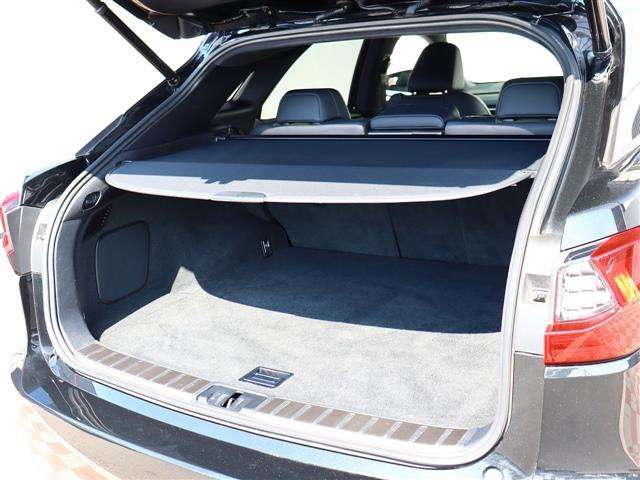 レクサス ＲＸ３００ Ｆスポーツ H30年 (関東) 99