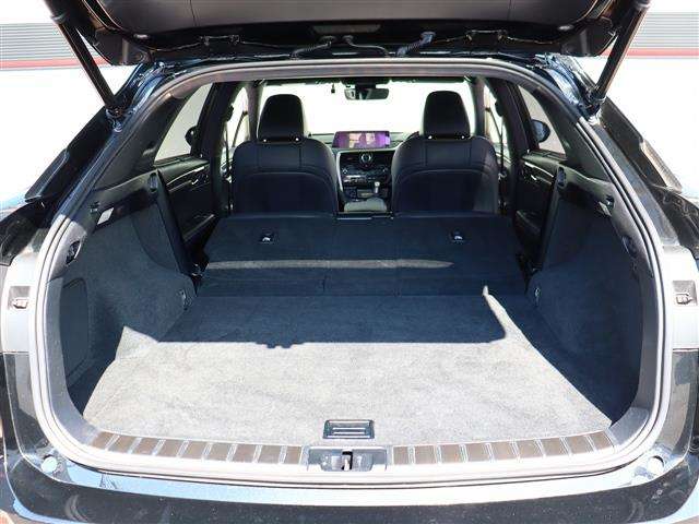 レクサス ＲＸ３００ Ｆスポーツ H30年 (関東) 99