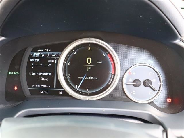 レクサス ＲＸ３００ Ｆスポーツ H30年 (関東) 99