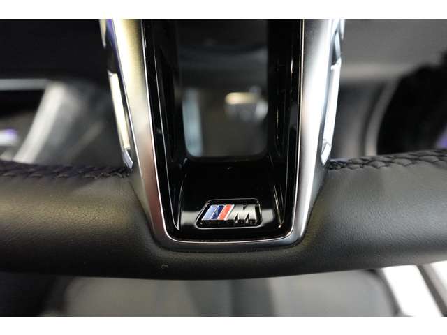 ＢＭＷ ７シリーズ ７４０ｉ　Ｍスポーツ R5年 (近畿) 99