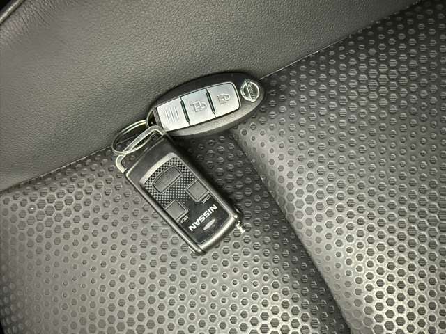 日産 エクストレイル ２．０ ２０Ｘ エマージェンシーブレーキパッケージ ２列車 ４ＷＤ H28年 (北海道) 99