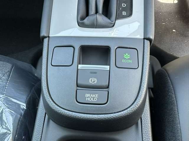 ホンダ フィット　ハイブリッド １．５ Ｅ：ＨＥＶ ホーム R6年 (東海) 99