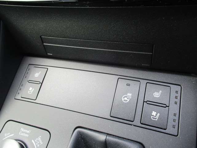 レクサス ＩＳ３００ｈ Ｆスポーツ R2年 (中国) 99