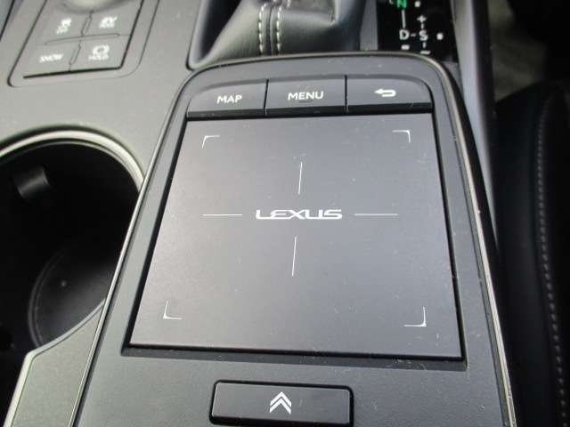 レクサス ＩＳ３００ｈ Ｆスポーツ R2年 (中国) 99