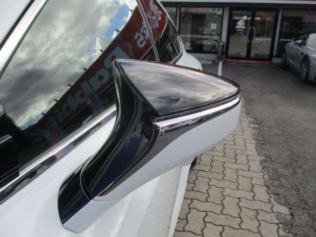 レクサス ＩＳ３００ｈ Ｆスポーツ R2年 (中国) 99