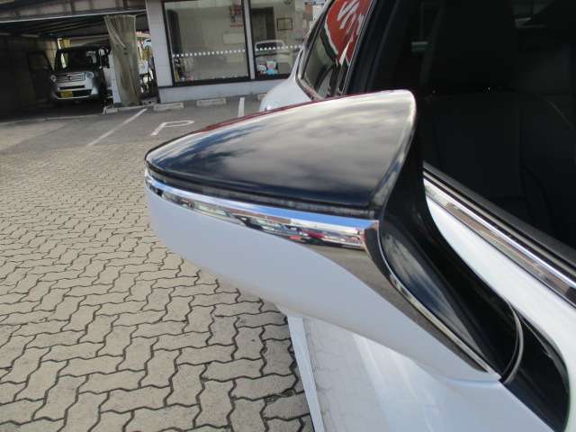 レクサス ＩＳ３００ｈ Ｆスポーツ R2年 (中国) 99