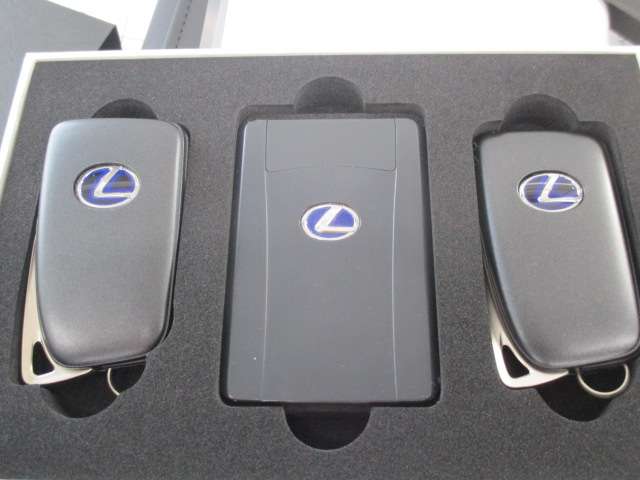レクサス ＩＳ３００ｈ Ｆスポーツ R2年 (中国) 99