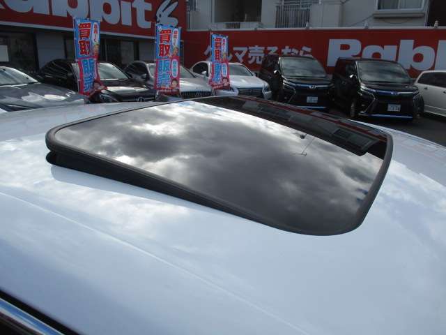 レクサス ＩＳ３００ｈ Ｆスポーツ R2年 (中国) 99