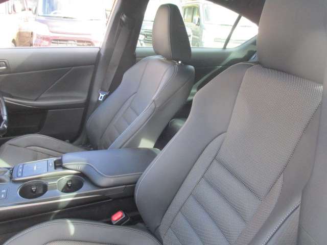 レクサス ＩＳ３００ｈ Ｆスポーツ R2年 (中国) 99