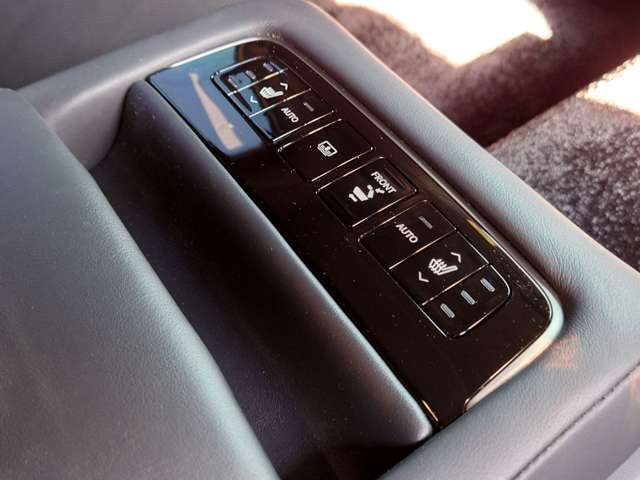 レクサス ＬＳ５００ Ｉパッケージ R1年 (中国) 99