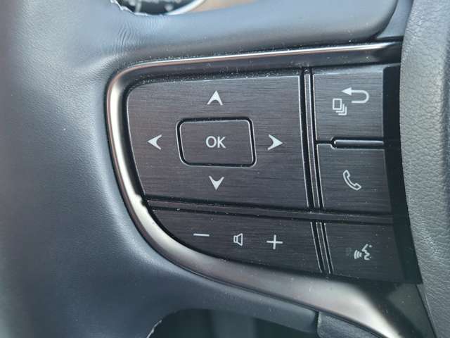 レクサス ＬＳ５００ Ｉパッケージ R1年 (中国) 99