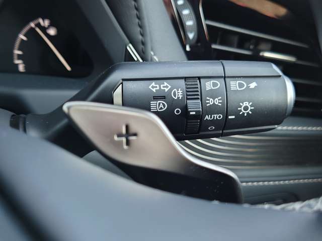 レクサス ＬＳ５００ Ｉパッケージ R1年 (中国) 99