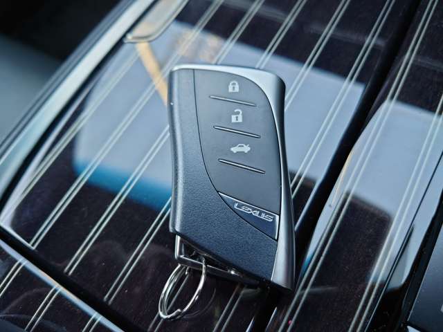 レクサス ＬＳ５００ Ｉパッケージ R1年 (中国) 99