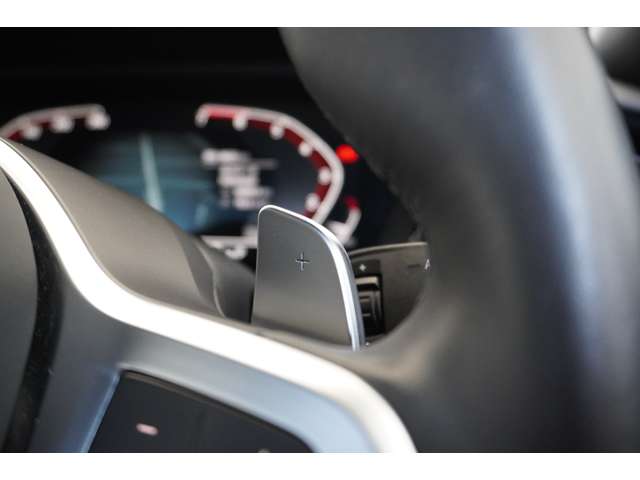 ＢＭＷ Ｚ４ Ｓドライブ ２０Ｉ Ｍスポーツ R1年 (近畿) 99