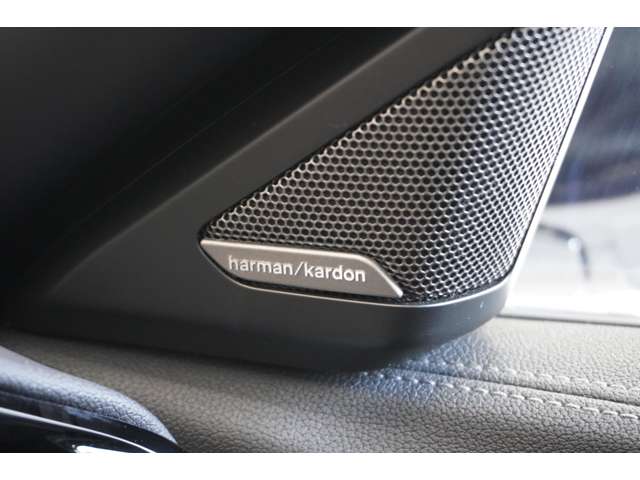 ＢＭＷ Ｚ４ Ｓドライブ ２０Ｉ Ｍスポーツ R1年 (近畿) 99