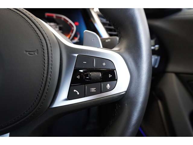 ＢＭＷ Ｚ４ Ｓドライブ ２０Ｉ Ｍスポーツ R1年 (近畿) 99