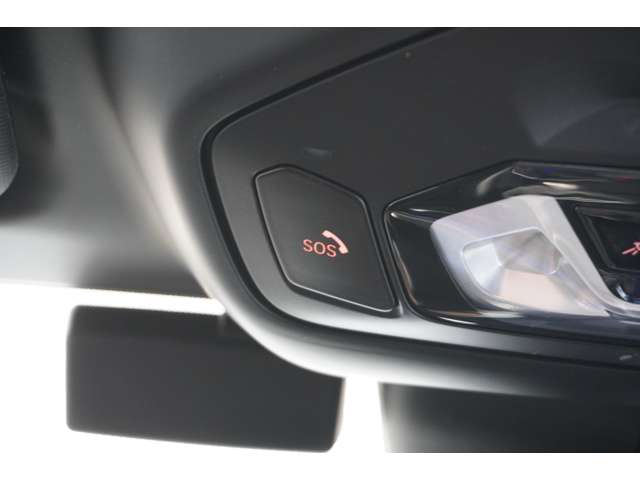 ＢＭＷ Ｚ４ Ｓドライブ ２０Ｉ Ｍスポーツ R1年 (近畿) 99