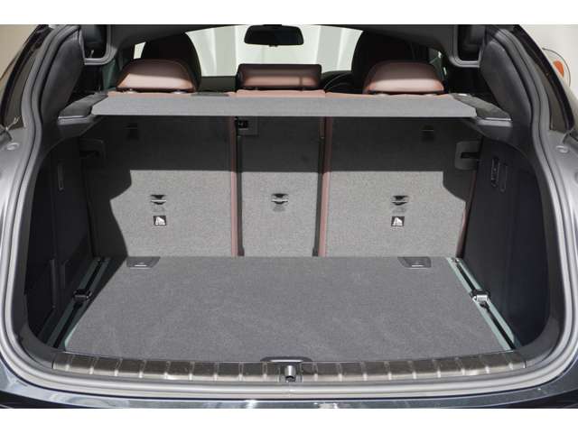 ＢＭＷ Ｘ４ Ｘドライブ２０Ｄ Ｍスポーツ ディーゼルターボ ４ＷＤ R4年 (近畿) 99