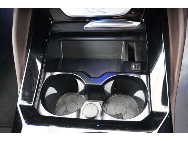 ＢＭＷ Ｘ４ Ｘドライブ２０Ｄ Ｍスポーツ ディーゼルターボ ４ＷＤ R4年 (近畿) 99