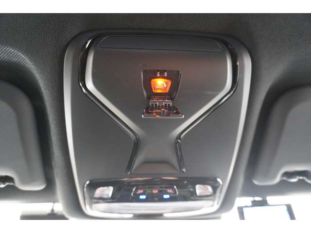 ＢＭＷ Ｘ４ Ｘドライブ２０Ｄ Ｍスポーツ ディーゼルターボ ４ＷＤ R4年 (近畿) 99