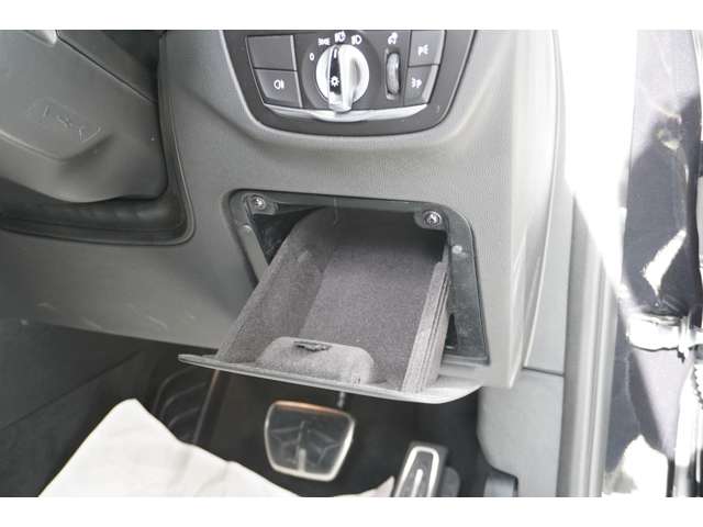 ＢＭＷ Ｘ４ Ｘドライブ２０Ｄ Ｍスポーツ ディーゼルターボ ４ＷＤ R4年 (近畿) 99