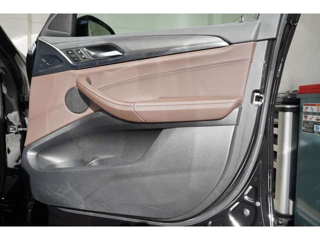 ＢＭＷ Ｘ４ Ｘドライブ２０Ｄ Ｍスポーツ ディーゼルターボ ４ＷＤ R4年 (近畿) 99