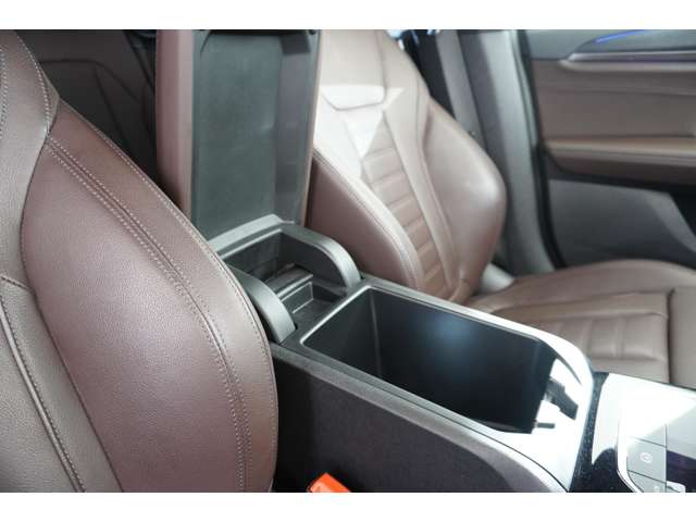 ＢＭＷ Ｘ４ Ｘドライブ２０Ｄ Ｍスポーツ ディーゼルターボ ４ＷＤ R4年 (近畿) 99