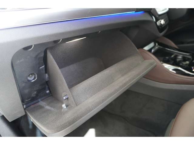 ＢＭＷ Ｘ４ Ｘドライブ２０Ｄ Ｍスポーツ ディーゼルターボ ４ＷＤ R4年 (近畿) 99