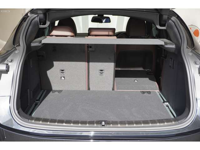 ＢＭＷ Ｘ４ Ｘドライブ２０Ｄ Ｍスポーツ ディーゼルターボ ４ＷＤ R4年 (近畿) 99