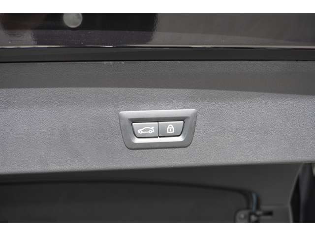 ＢＭＷ Ｘ４ Ｘドライブ２０Ｄ Ｍスポーツ ディーゼルターボ ４ＷＤ R4年 (近畿) 99