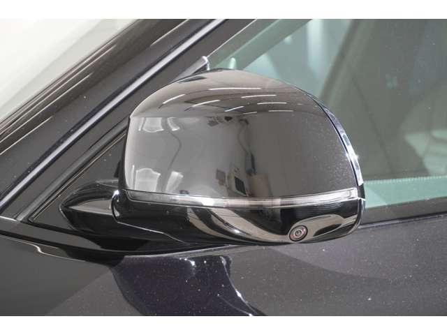 ＢＭＷ Ｘ４ Ｘドライブ２０Ｄ Ｍスポーツ ディーゼルターボ ４ＷＤ R4年 (近畿) 99