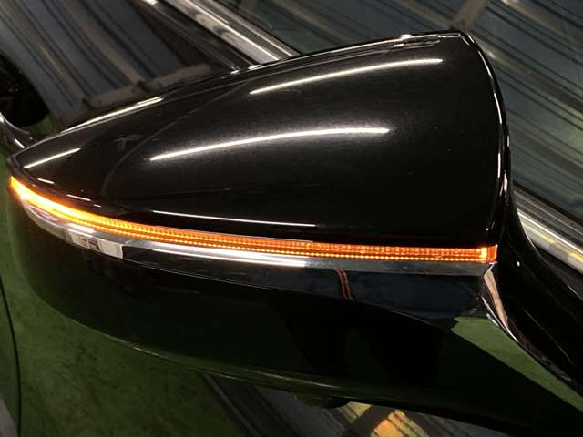 レクサス ＵＸ２５０ｈ Ｆスポーツ R1年 (北海道) 99