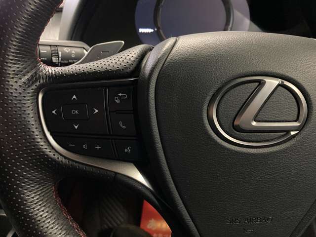 レクサス ＵＸ２５０ｈ Ｆスポーツ R1年 (北海道) 99