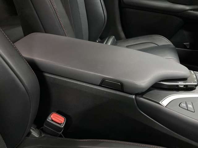 レクサス ＵＸ２５０ｈ Ｆスポーツ R1年 (北海道) 99